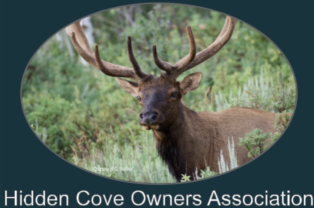 Hidden Cove of PCB logo